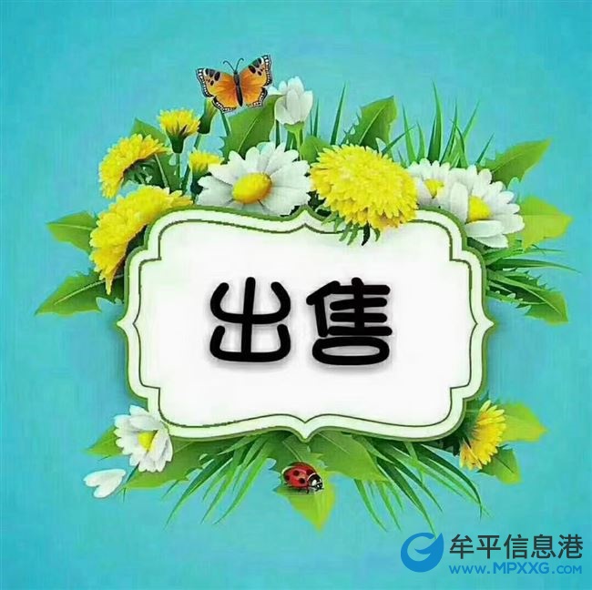 出售東泰百合公館電梯房，毛坯，南向