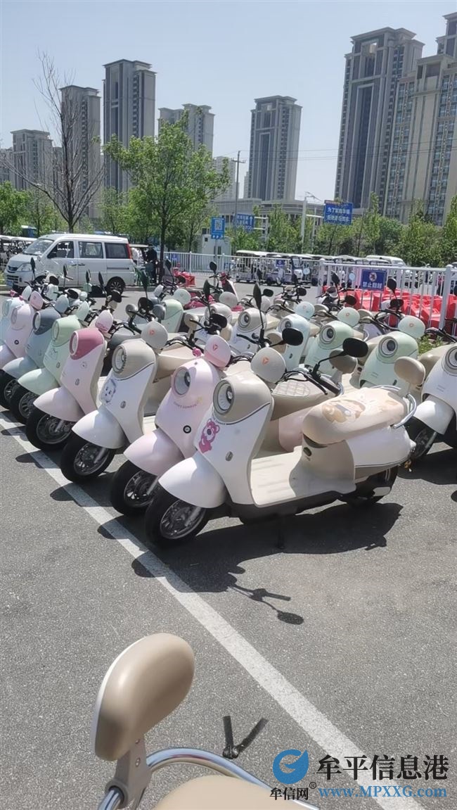 養(yǎng)馬島租車人員